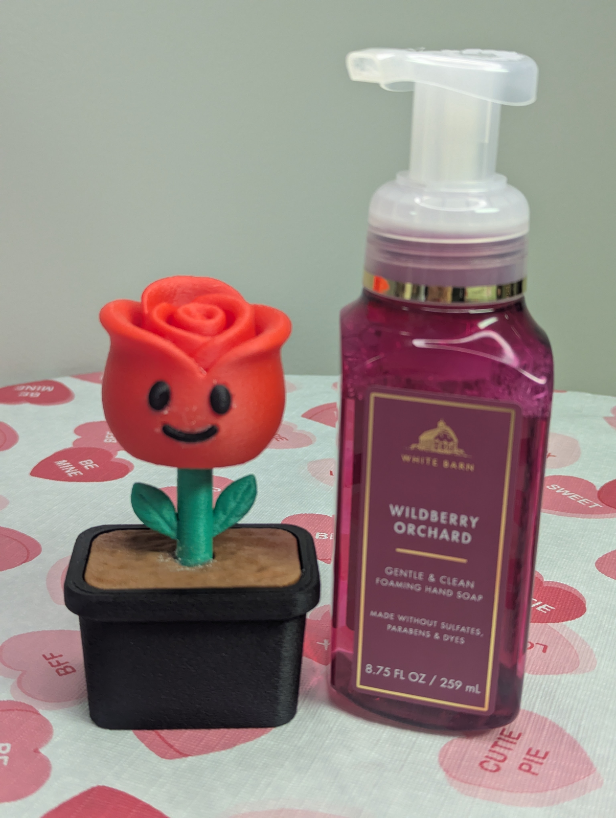 Smiling Rose Flower Pot