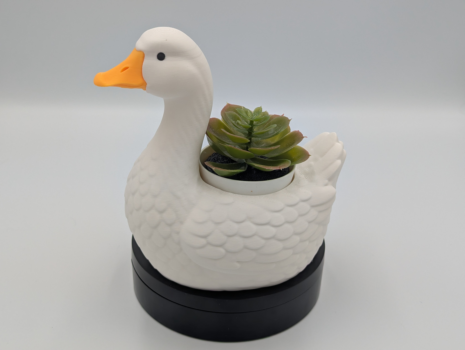 Duck Succulent Planter