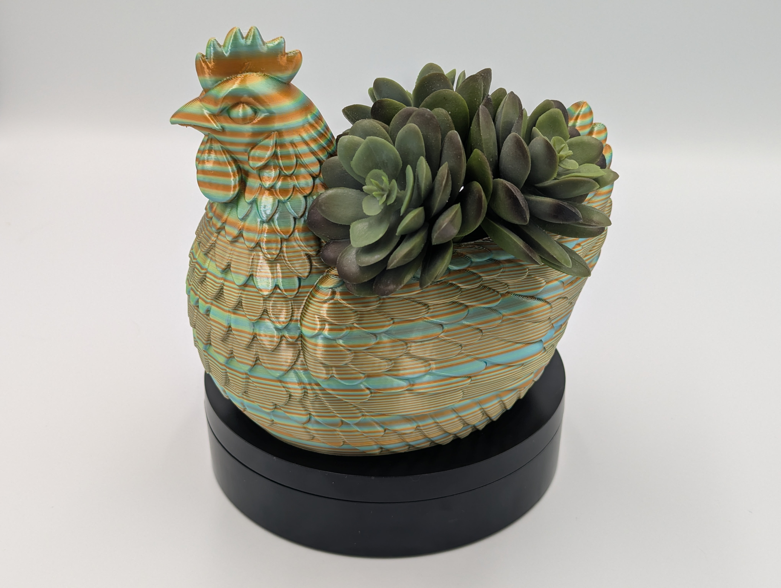 Hen on Nest Succulent Planter