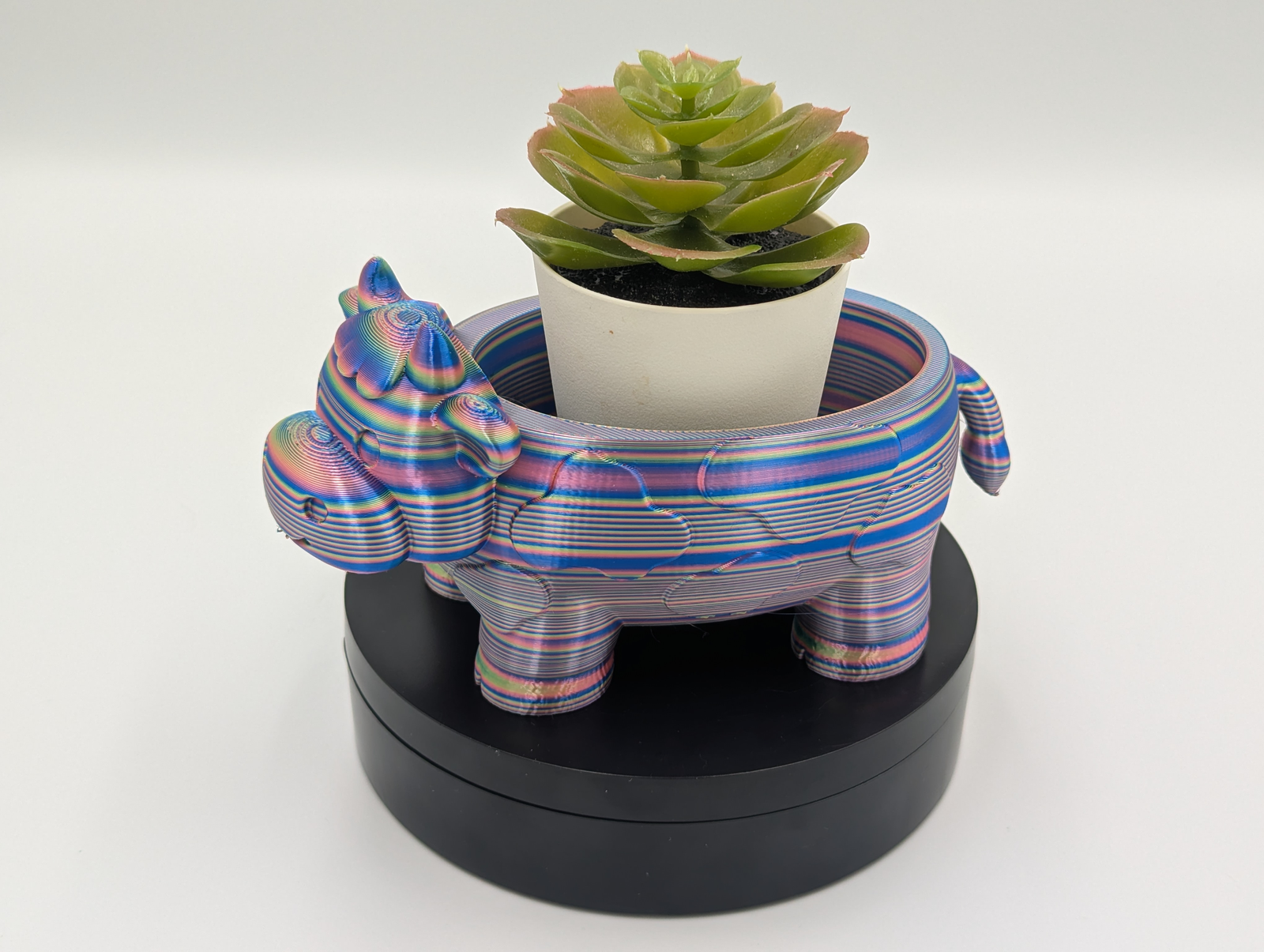 Rainbow Hippo Planter