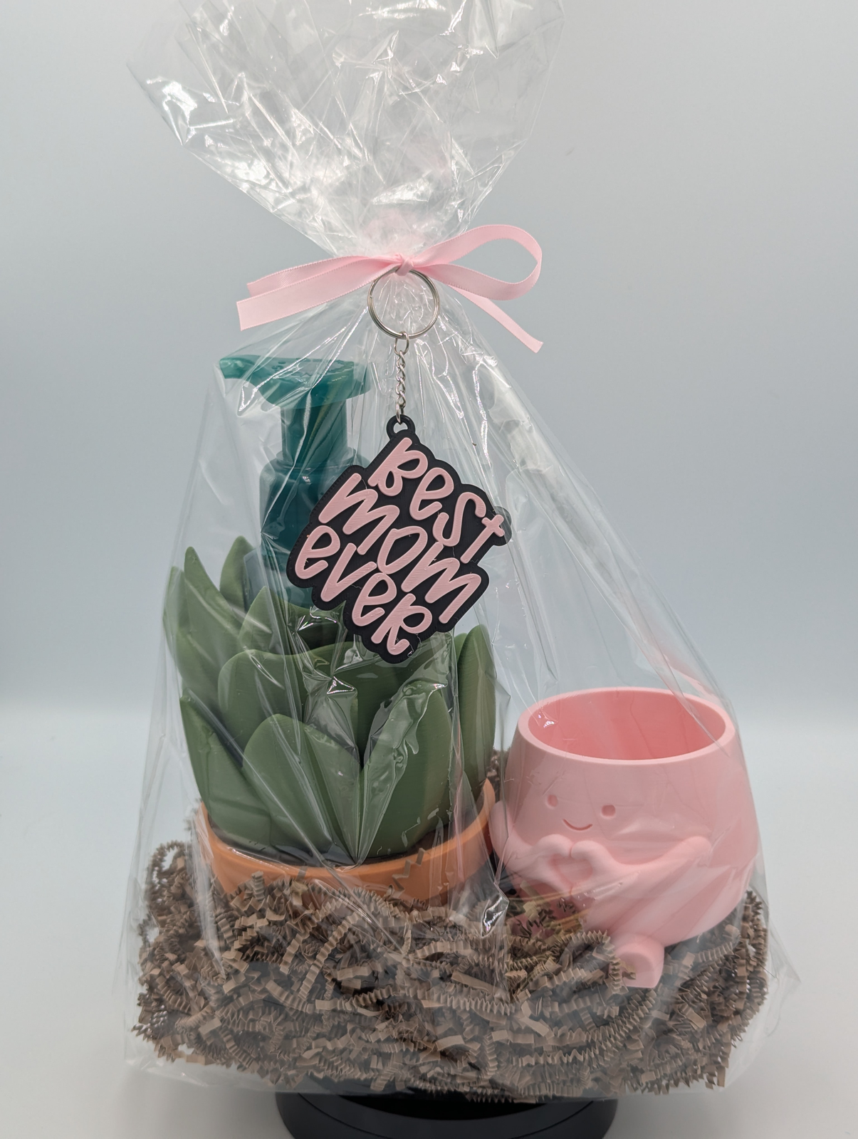 Best Mom Ever Succulent Gift Basket